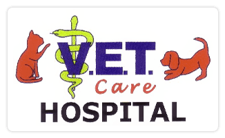 V.E.T Care Hospital
