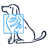 Icon 2