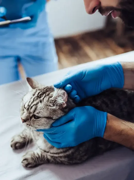 critical-care-iStock-879798800