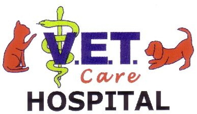 VC Logo